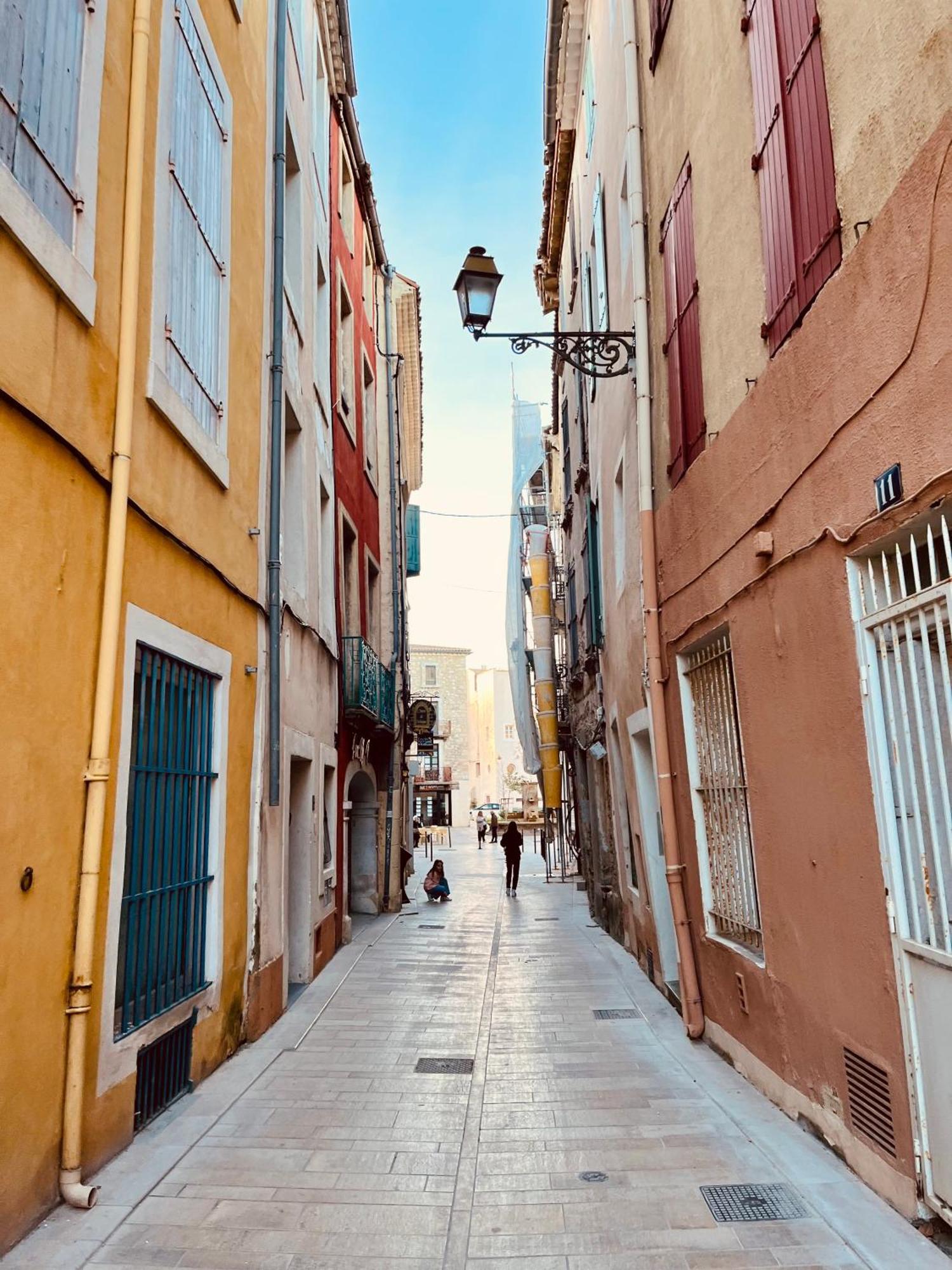 Appartement Chez Rose 纳博讷 外观 照片
